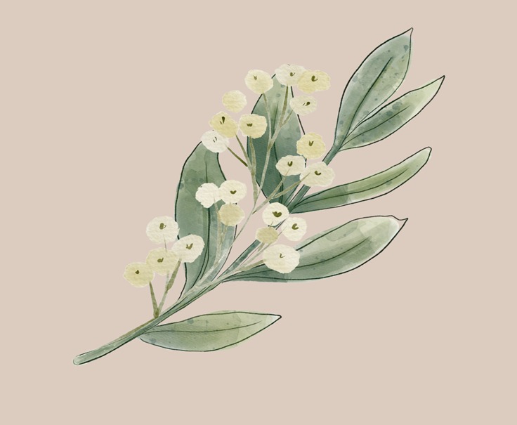 Grün und Blüte